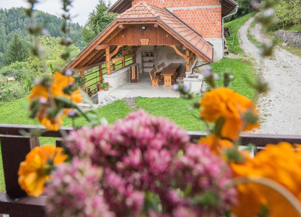 Farm Stay Zagar Mozirje Luaran gambar